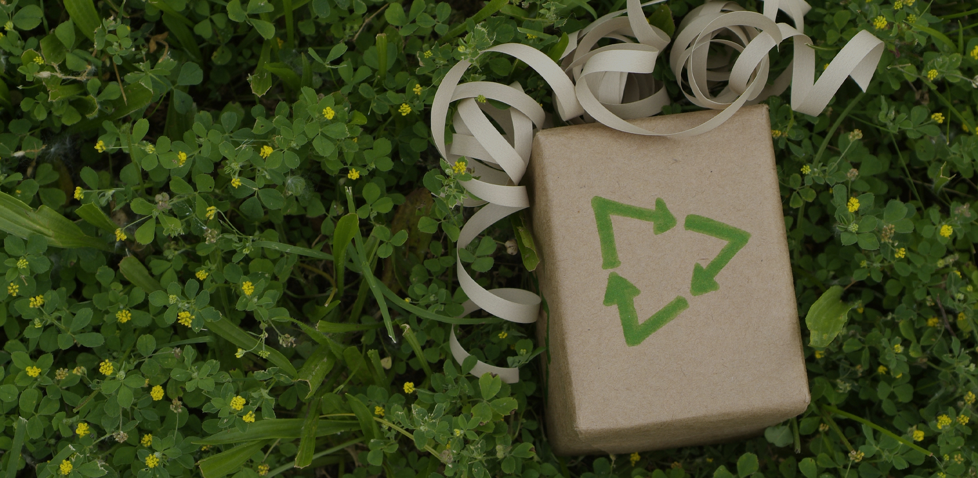 Wenchen Packaging wspólnie z Tobą buduje zrównoważoną ekologię